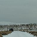 DSC00733