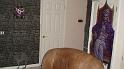 DSC00602