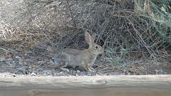 Dsc00553